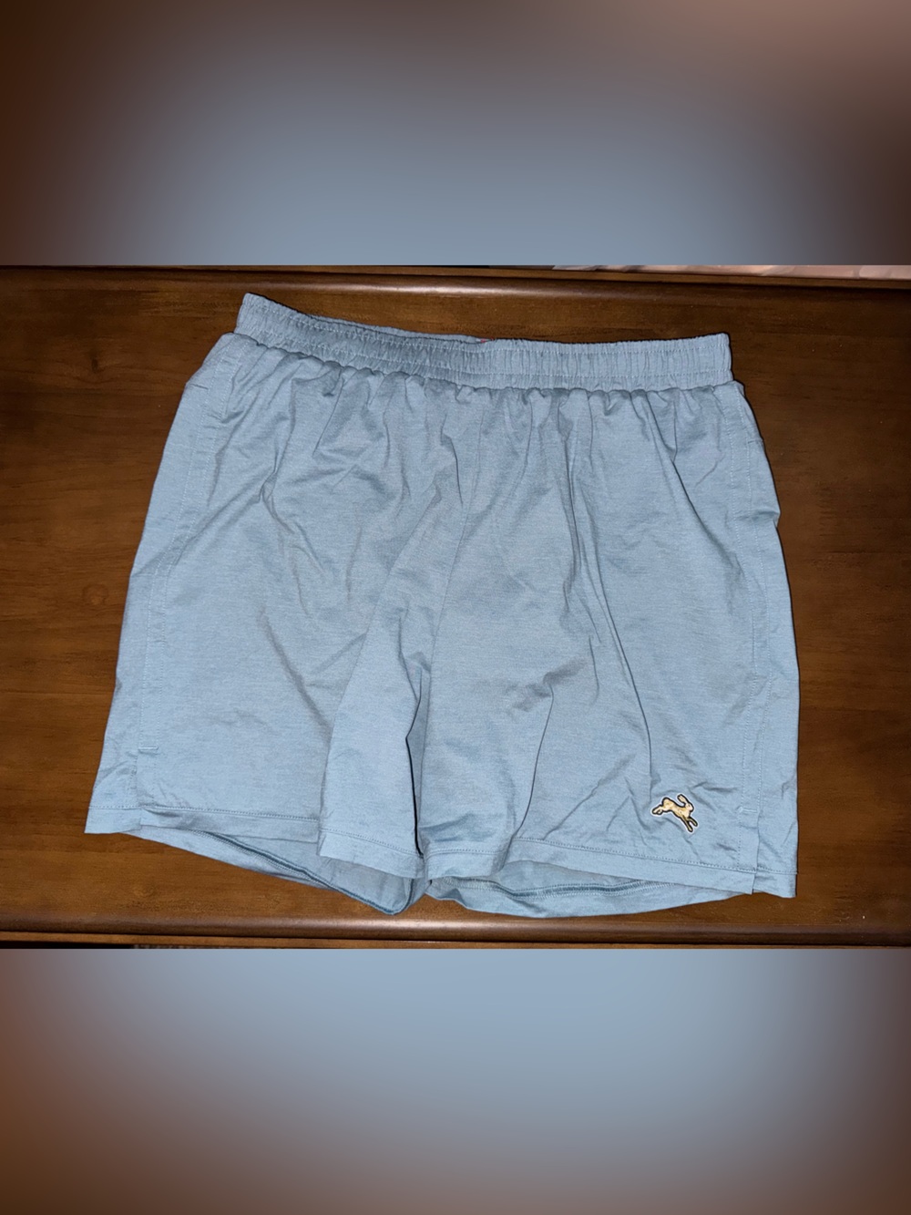 Tracksmith Session Shorts—Men’s Small